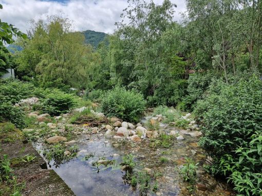 “Dalla Giunta Moscatiello perso quasi un anno per il progetto già finanziato di sistemazione idraulica del torrente Fiumetta” “Dalla Giunta Moscatiello perso quasi un anno per il progetto già finanziato di sistemazione idraulica del torrente Fiumetta”