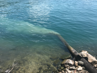 “Ma che cosa si scarica nel Lago Maggiore?”