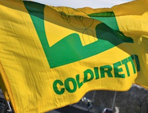 Coldiretti Piemonte, cresce il florovivaismo: +33% export