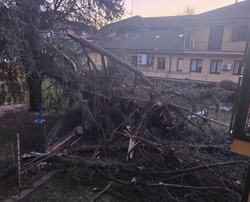Colpita duramente la zona di Gravellona dal vento della notte Colpita duramente la zona di Gravellona dal vento della notte