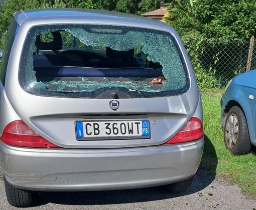 Atti vandalici a Cireggio, Movimento Indipendenza: "Fatti gravi, serve sensibilizzare i cittadini" Atti vandalici a Cireggio, Movimento Indipendenza: "Fatti gravi, serve sensibilizzare i cittadini"