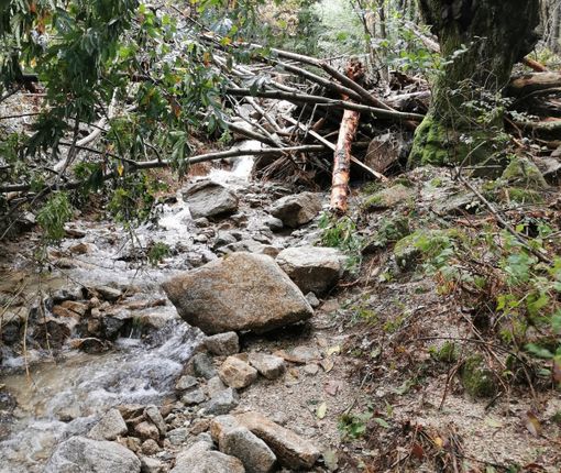 Gravellona, via libera ai lavori di messa in sicurezza dopo l'alluvione del 2020 Gravellona, via libera ai lavori di messa in sicurezza dopo l'alluvione del 2020