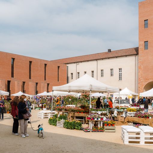 Al Castello di Novara tornano Fiorissimo e Sapeg