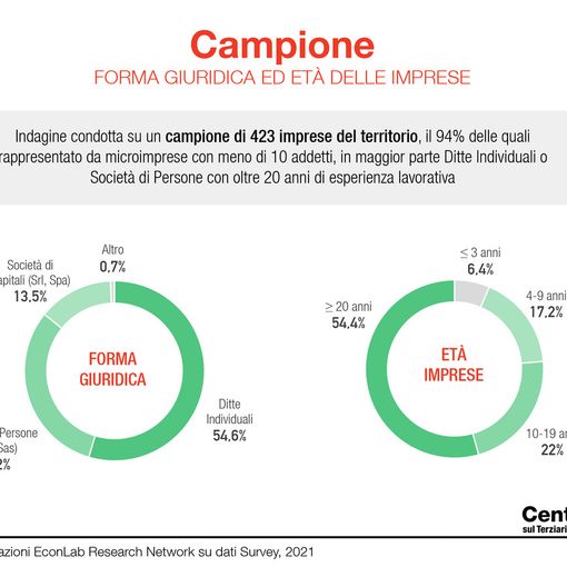 È stato presentato lo studio 'Un anno di pandemia  Difficoltà e aspettative tra le imprese terziarie'