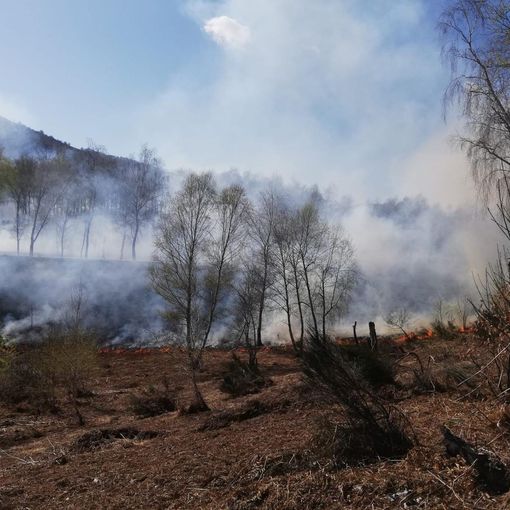 Ancora fiamme alle pendici del Mottarone