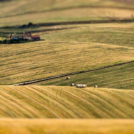 Agricoltura, partono gli incontri territoriali Cia su Pac e PSR