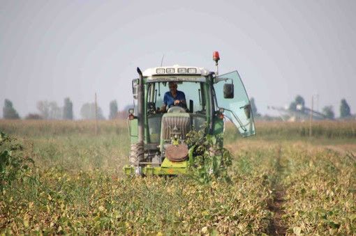 Sviluppo rurale, altri 4,2 milioni di euro sul bando 2020