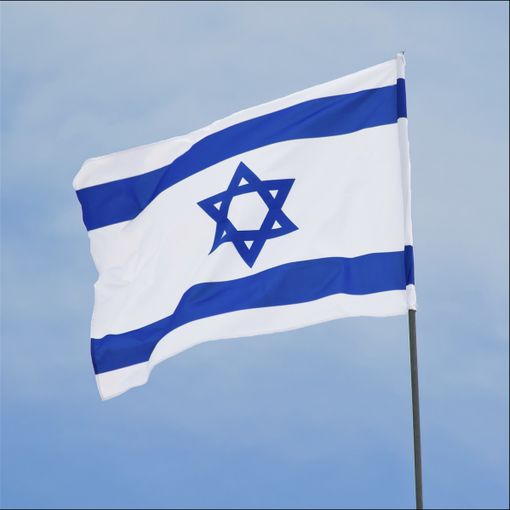L'europarlamentare Panza: &quot;Esprimo vicinanza al popolo di Israele&quot;