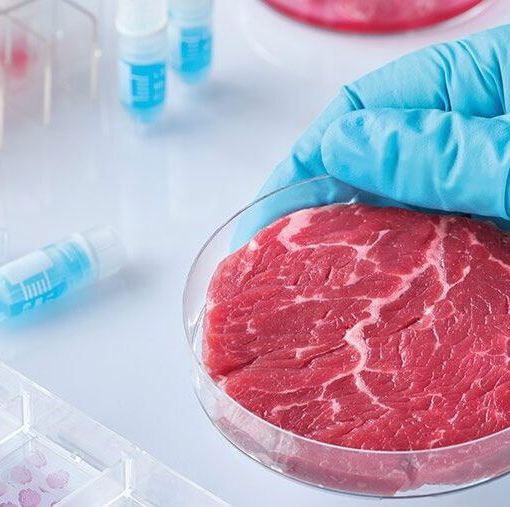 Carne artificiale, Coldiretti Piemonte: &quot;Europa sempre più diffidente, flop negli Usa&quot;