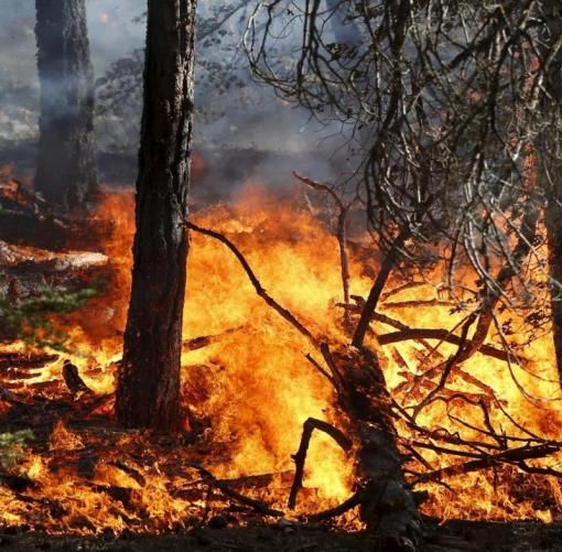 Allerta incendi in Canton Ticino