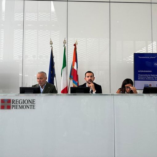 “Troppo asfalto, il Piemonte ha bisogno di verde”