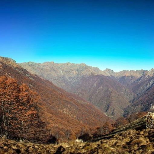 Autunno anomalo: non cadono le foglie dagli alberi e pungono le zanzare