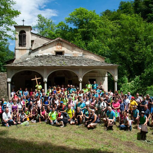 Peregrinatio 2024: a piedi seguendo le orme degli antichi pellegrini