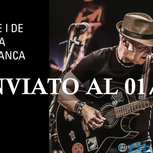 Rimandato il concerto di Davide Van De Sfroos