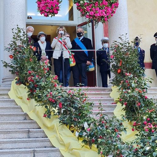 Navetta circolare gratuita per la Mostra della Camelia
