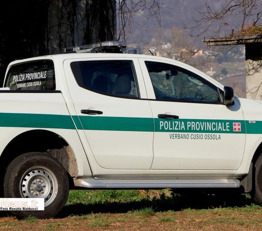 La Provincia ha due nuove guardie