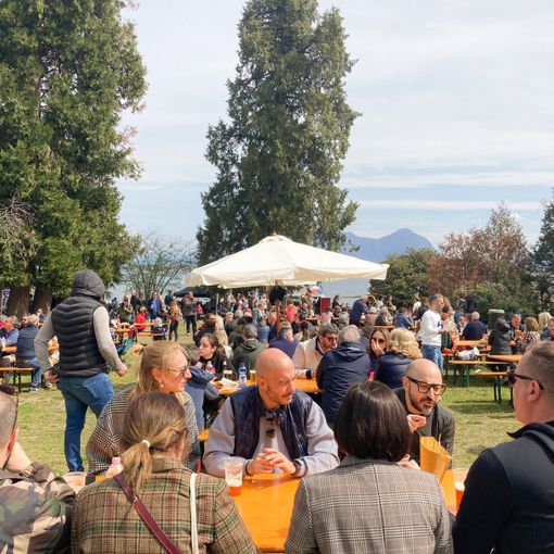 A Novara il secondo appuntamento con il Rolling Truck Street Food Festival in centro città nel verde del Parco Allea