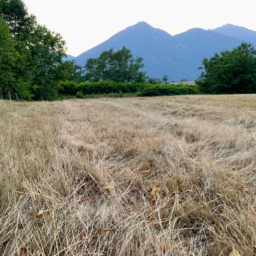 Emergenza idrica, è allerta rossa