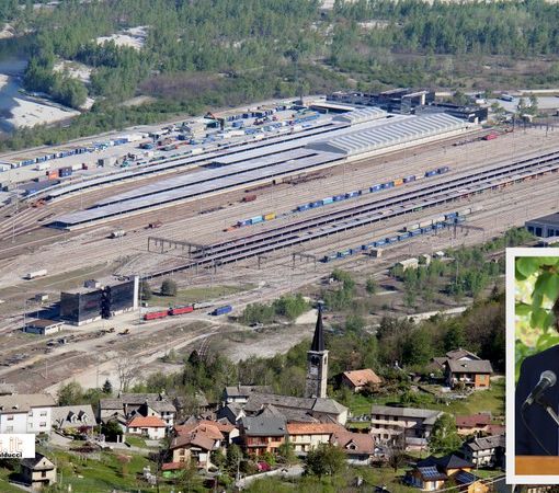 ''Regione impegnata a restituire centralità a Domo II''