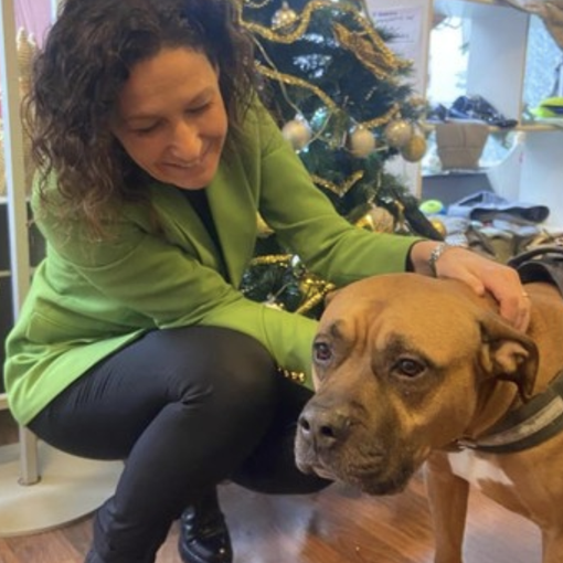 In Piemonte nascono gli 'ambulatori veterinari sociali'