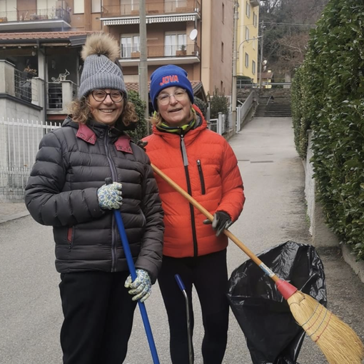 Amici di Bagnella: volontari al lavoro nel canneto del porticciolo