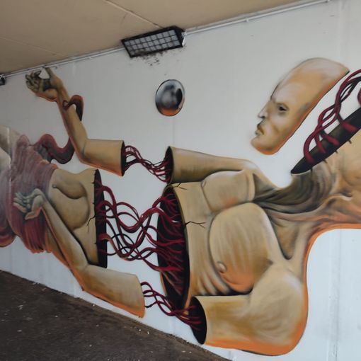 Al via un altro progetto di street art a Verbania in collaborazione con l'associazione VperVCO