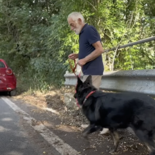 #senontiportononparto: la nuova campagna della polizia contro l'abbandono degli animali