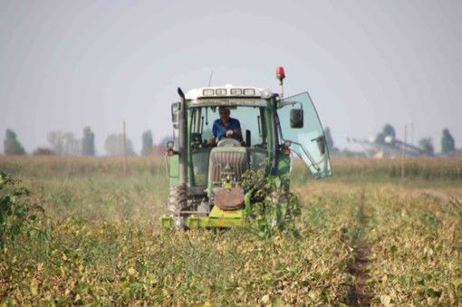 Bando per le misure agro-climatico-ambientali: 16,5 milioni per agricoltori e allevatori