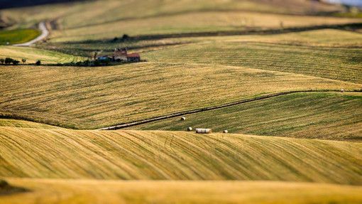 Dal Pnrr 26.5 milioni di euro a sostegno dell'agricoltura di precisione in Piemonte