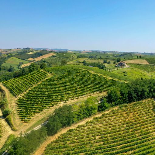 L'azienda astigiana Ferraris Agricola presenta Opera Prima Riserva 2017