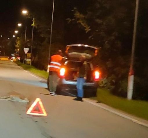 Quel gesto amorevole verso il capriolo ferito a morte che non lascia indifferenti