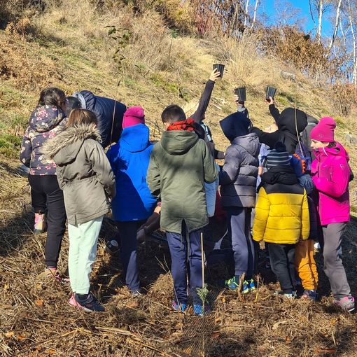 I bambini della primaria di Quarna celebrano la Festa dell'Albero