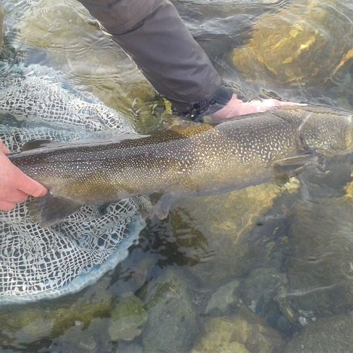 Apre la pesca in Val Grande