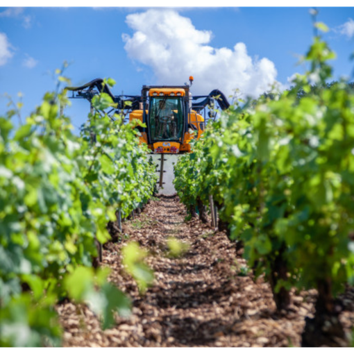 Defr, per l’agricoltura piemontese 145 milioni l’anno
