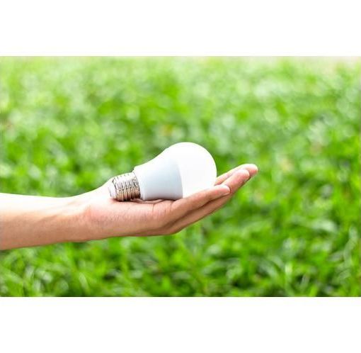 Ecolamp, nel Vco riciclate 3 tonnellate di lampadine usate