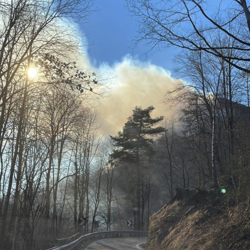 Incendi a Gurro e Trontano: vigili del fuoco in azione