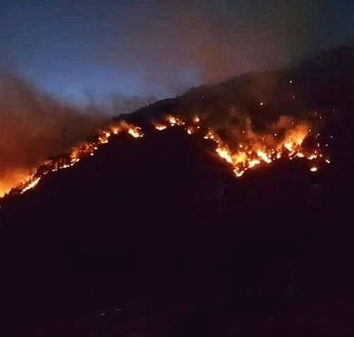 Foto e Video Pagina FB Eventi del Gambarogno