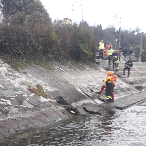 Intra, trovato un cadavere nel lago nei pressi del Parco Cavallotti