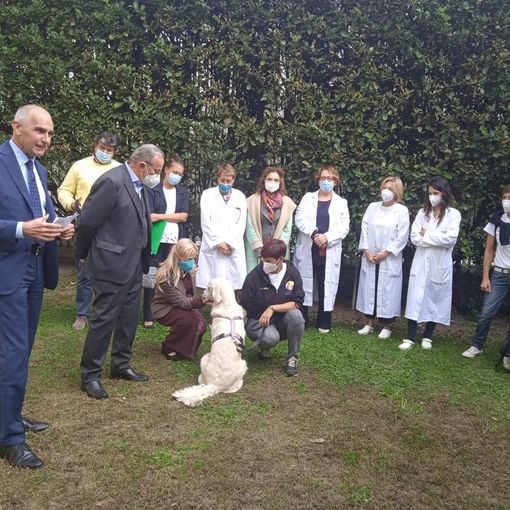 Parte la Pet Terapy alla Psichiatria di Verbania