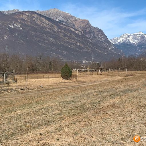 Coldiretti Novara-Vco: &quot;Sospensione temporanea del calcolo rivalutativo dei canoni di affitto&quot;