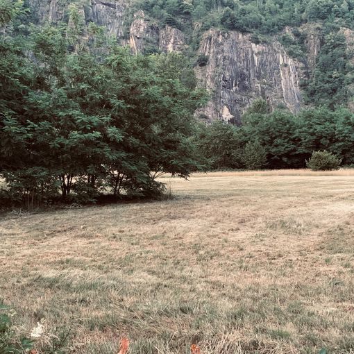Emergenza siccità, il Piemonte chiede di sostenere i i Consorzi irrigui e di bonifica