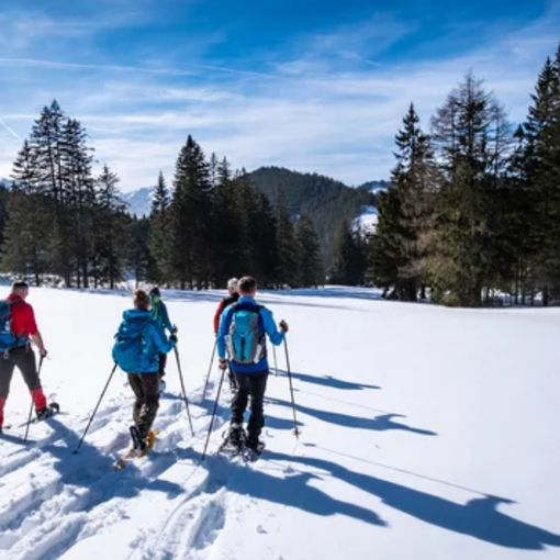 Oltre 2.500 domande in tre giorni per il bando guide turistiche