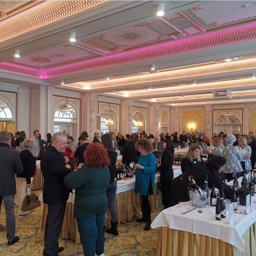 &quot;Vino, Sostantivo Femminile&quot; ha portato sul Lago Maggiore 500 appassionati e 90 produttrici