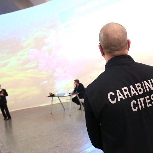Crescono i reati ambientali in Piemonte e c’entrano anche bonus e Pnrr: ma ora le prime sentinelle sono i cittadini
