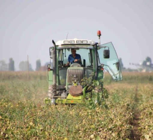 Coldiretti Piemonte: &quot;Bene fondi Ismea per sostenere le imprese giovani&quot;