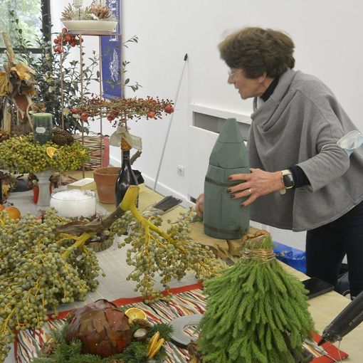Nel fine settimana la magia delle camelie ha invaso Verbania