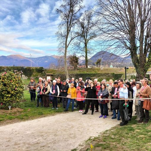 Appassionati e studiosi da tutto il mondo per la 55a Mostra della Camelia