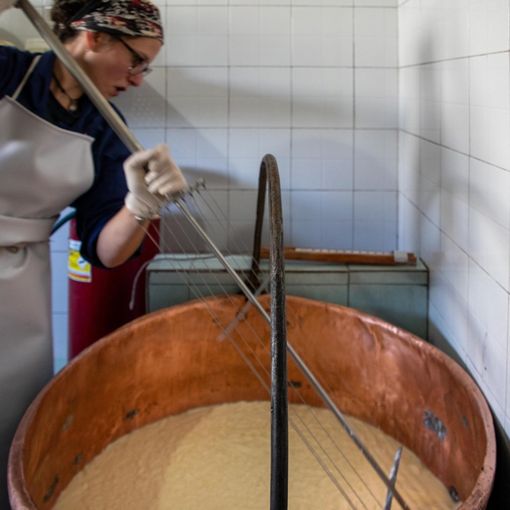 I formaggi ossolani protagonisti a Cheese con La Casera