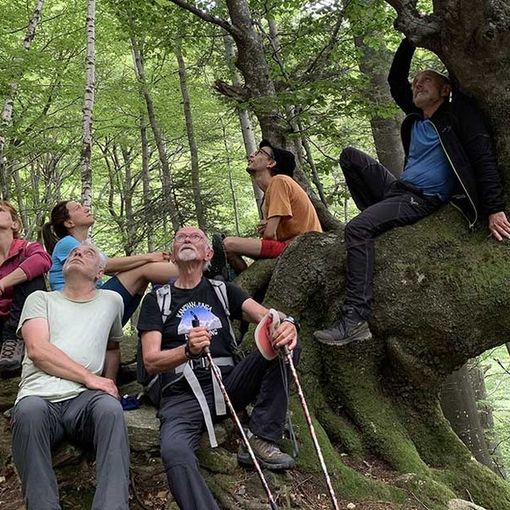 Arriva al cinema 'A Riveder le stelle', il docufilm girato in val Grande