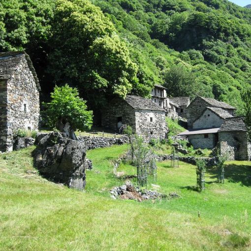 In Val Grande sui sentieri di “Libri in cammino”